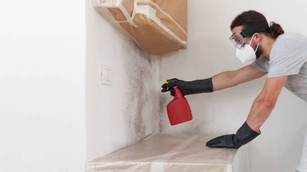 Professional Bathroom Mold Removal technician working in Englewood Cliffs, NJ
